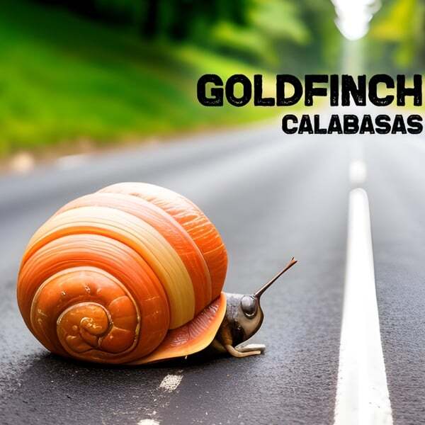 Cover art for Calabasas